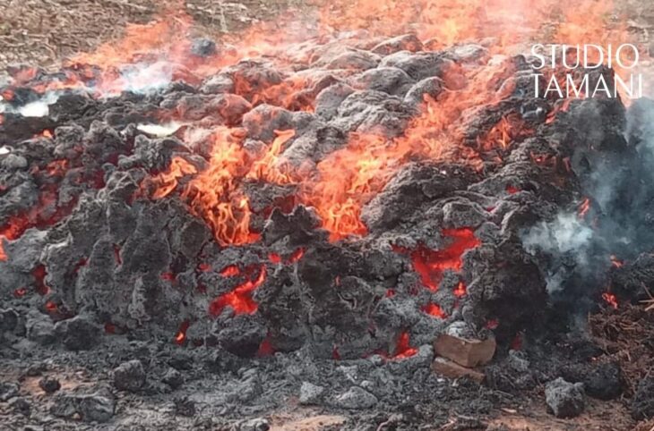 Incendie d’un champ de petit-mil à Dramétou dans le cercle de Bafoulabé