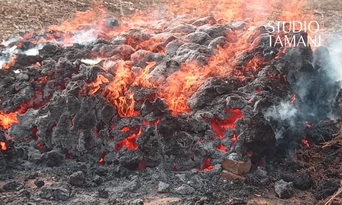 Incendie d’un champ de petit-mil à Dramétou dans le cercle de Bafoulabé