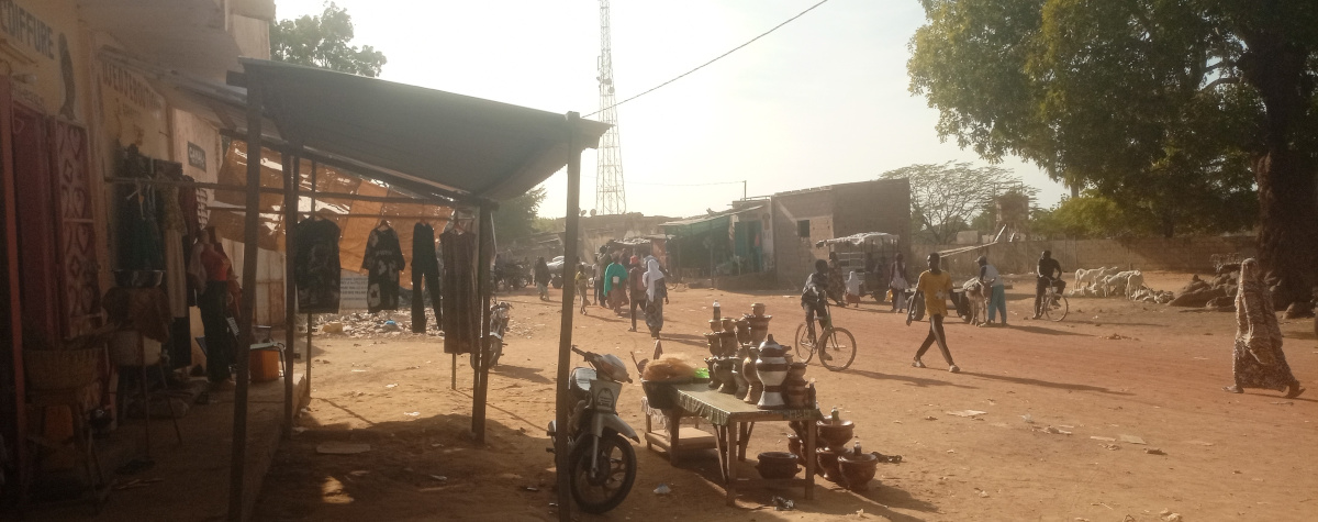 Baisse du prix du mil dans le cercle de Macina