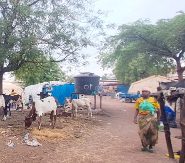 Une vue du site de déplacés internes du centre Mabilé de Sogoniko Bamako : le 24.03.25