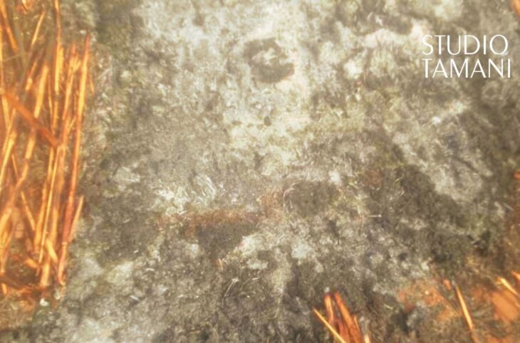 Un groupement de femmes inconsolables après un incendie à Dallassaboma