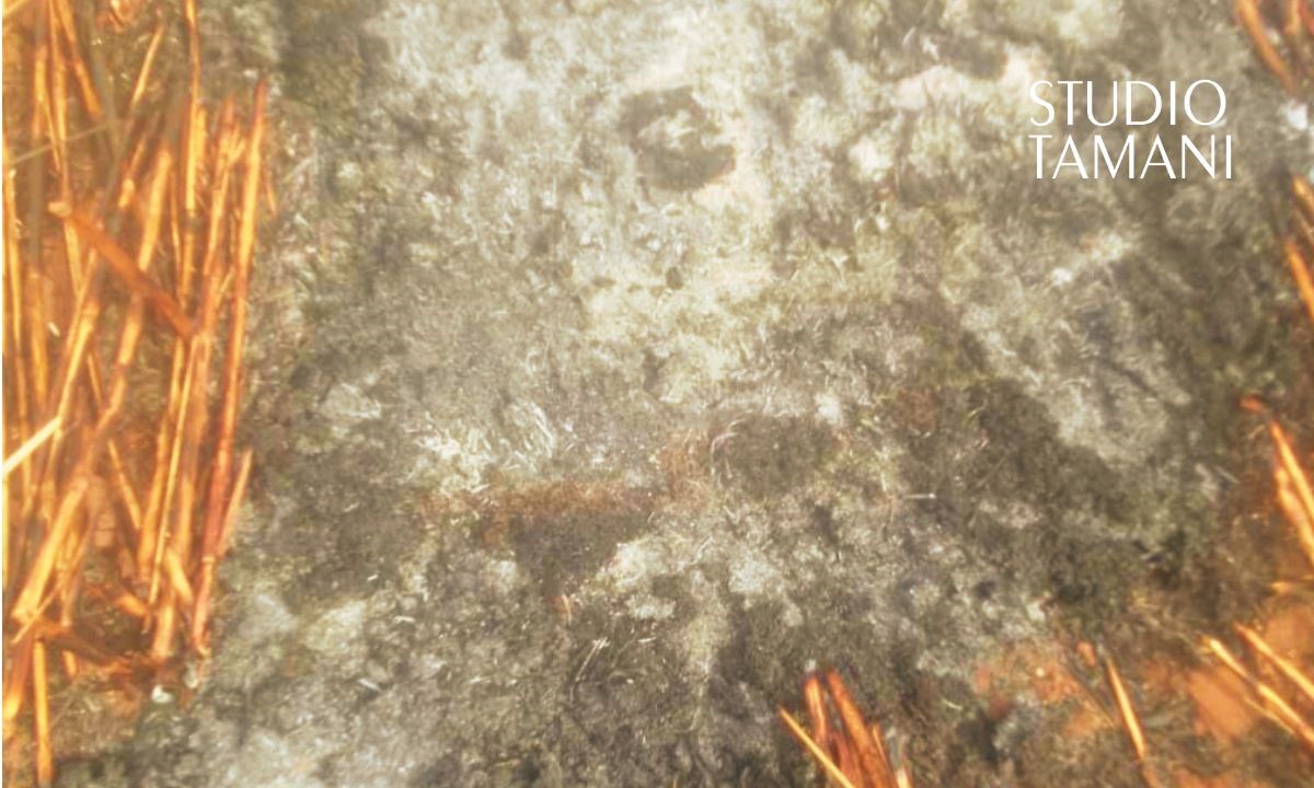 Un groupement de femmes inconsolables après un incendie à Dallassaboma