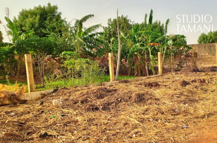 Quand le maraîchage redonne espoir aux déplacés