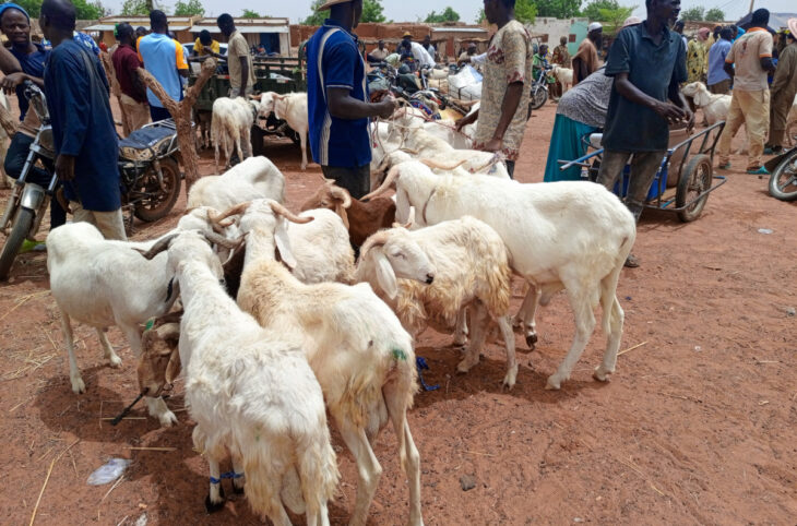 À Bankass, le monde paysan se met à la page