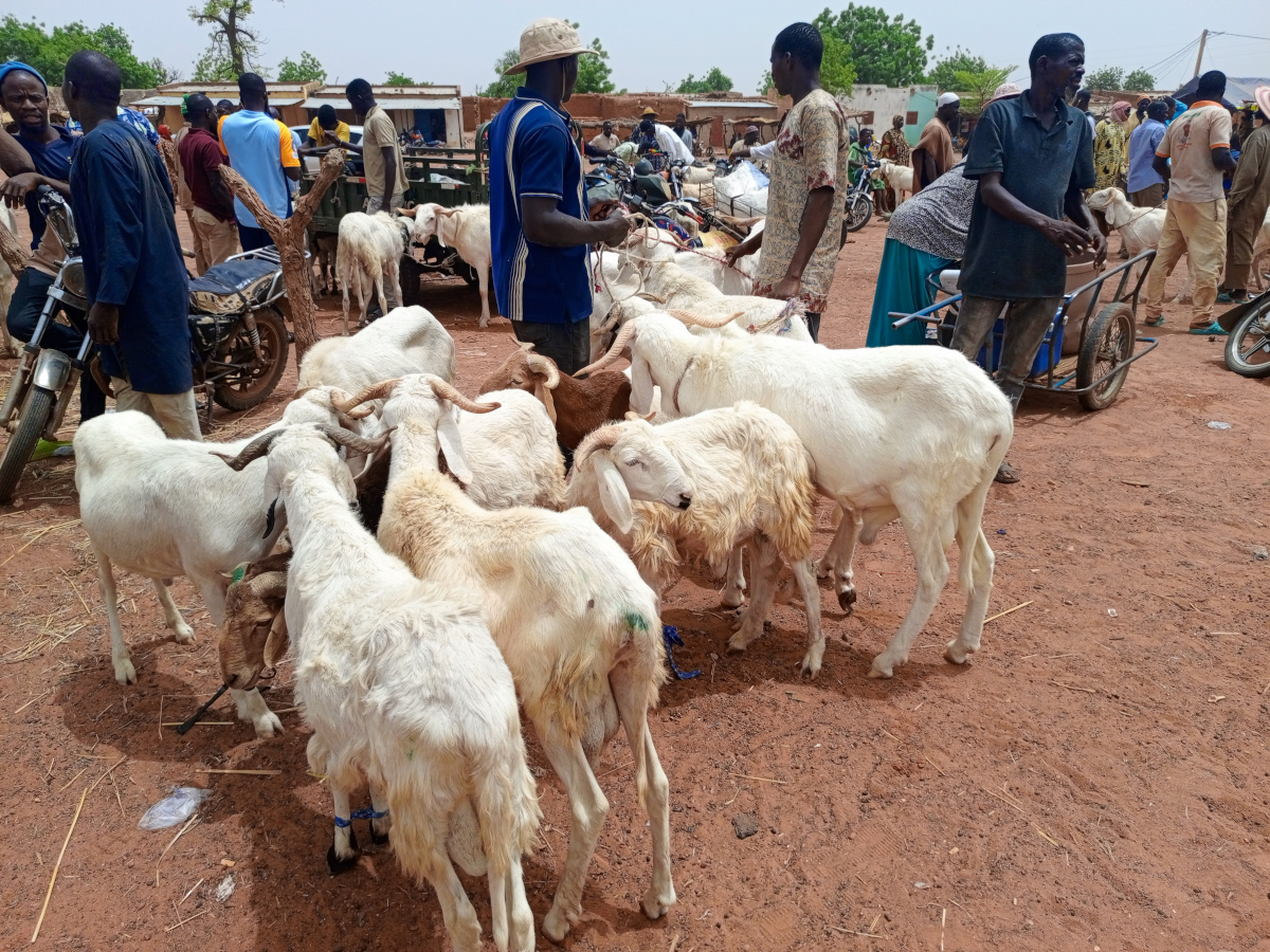 À Bankass, le monde paysan se met à la page