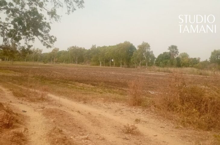 La crise du carburant réduit la production maraîchère à Macina