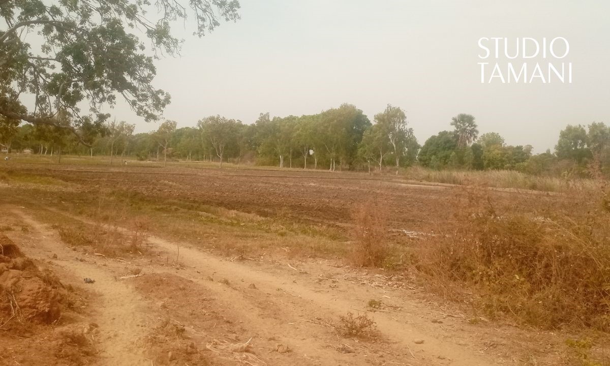 La crise du carburant réduit la production maraîchère à Macina