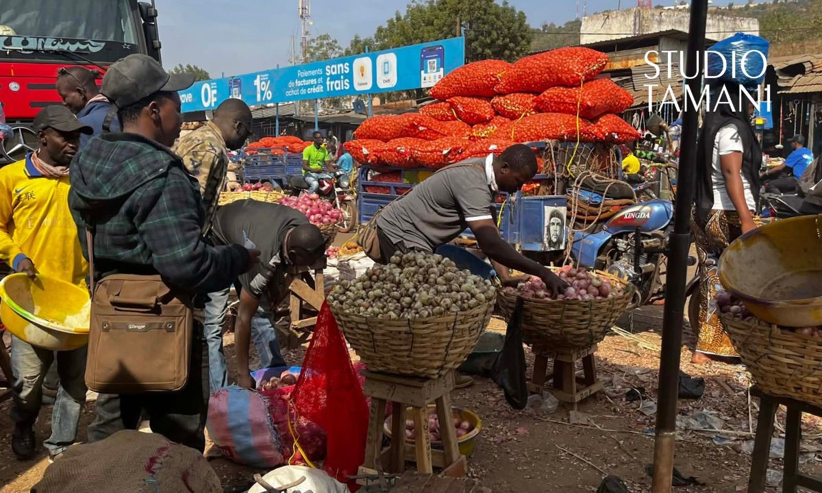 Yorosso : baisse du prix de l’oignon et de la tomate dans le cercle