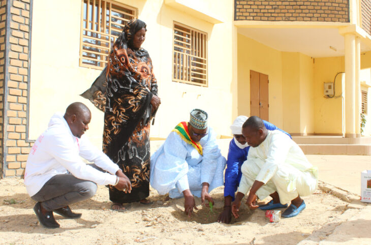 Goundam : des arbres fruitiers pour verdir les services publics