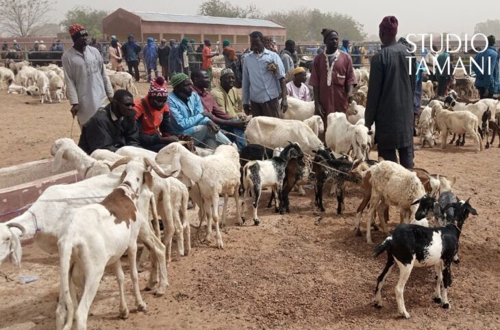 La ville de San dispose d'un nouveau marché à bétail