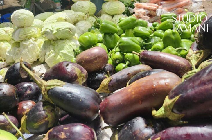 Tombouctou : Kabara célèbre la 5ᵉ édition de la Semaine du Paysan