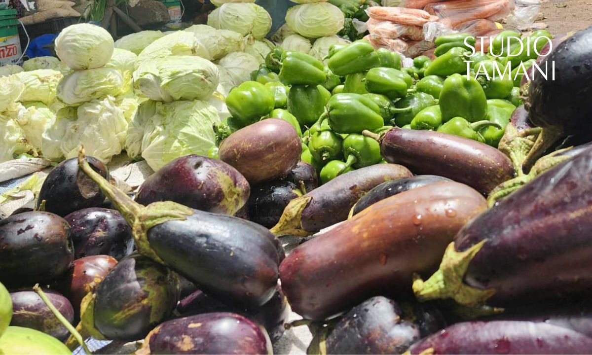 Tombouctou : Kabara célèbre la 5ᵉ édition de la Semaine du Paysan