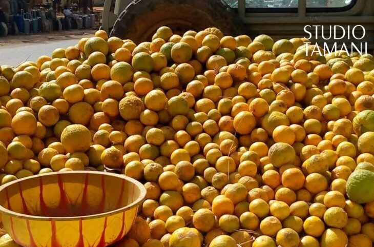À Bamako, les oranges inondent les marchés au bonheur des consommateurs