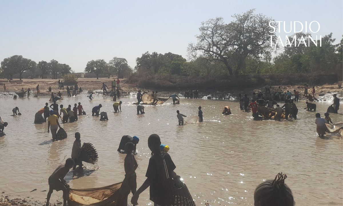 Tominian : succès de la pêche collective