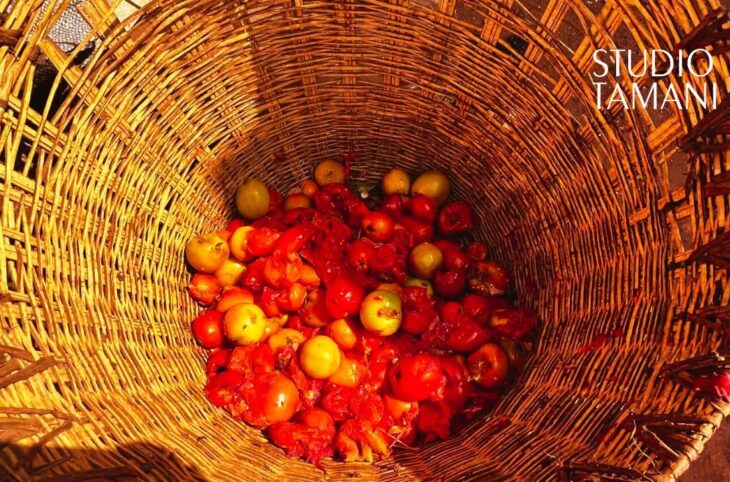 Produits chimiques : conséquences économiques et sanitaires d'une utilisation incontrôlée