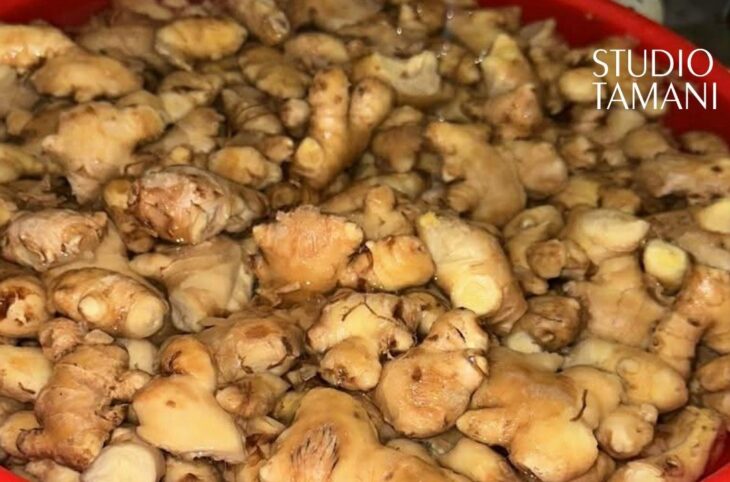 Hausse du prix du gingembre et de la glace à Yorosso