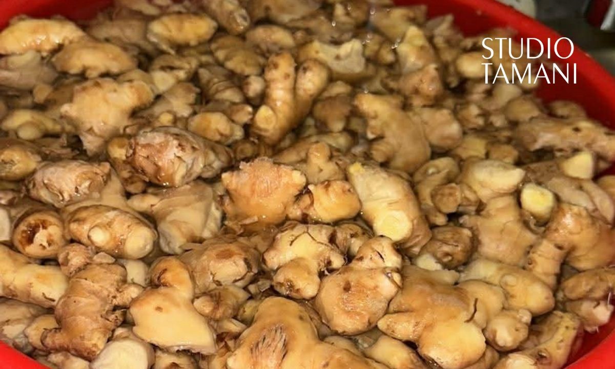 Hausse du prix du gingembre et de la glace à Yorosso