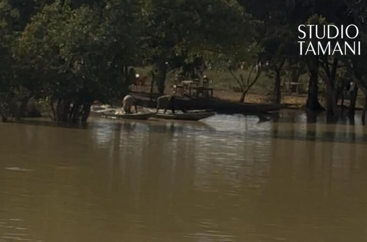 Yanfolila face aux pressions sur l’environnement