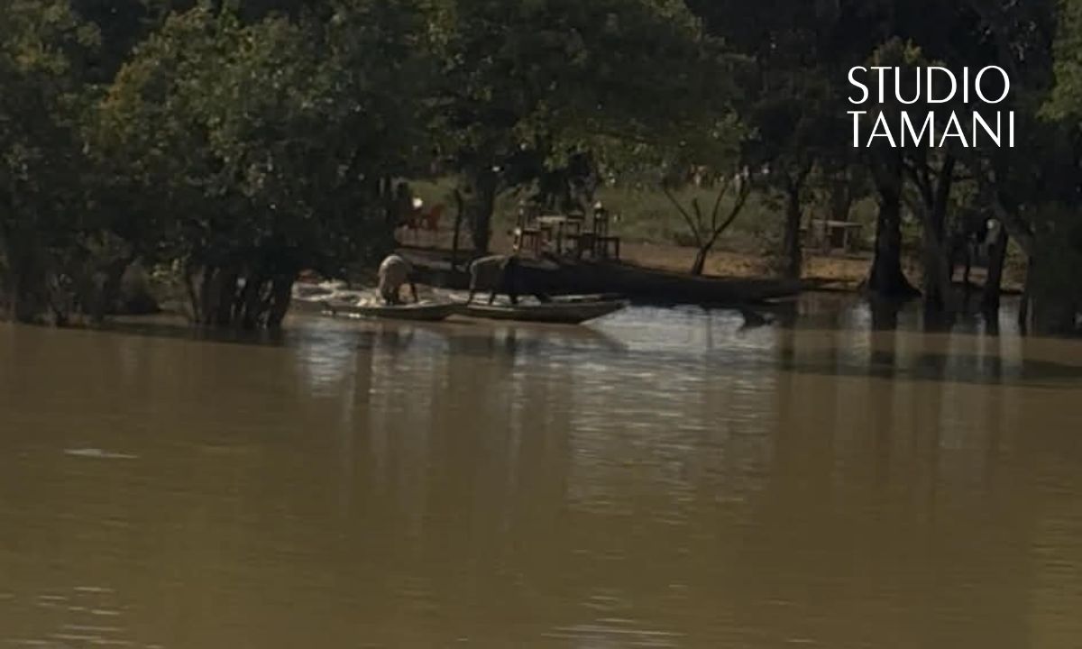 Yanfolila face aux pressions sur l’environnement