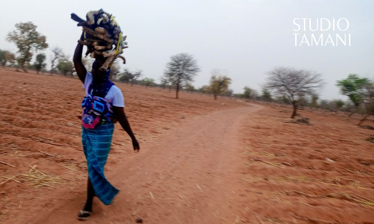 La vente du bois de chauffe, une activité génératrice de revenus à Bankass