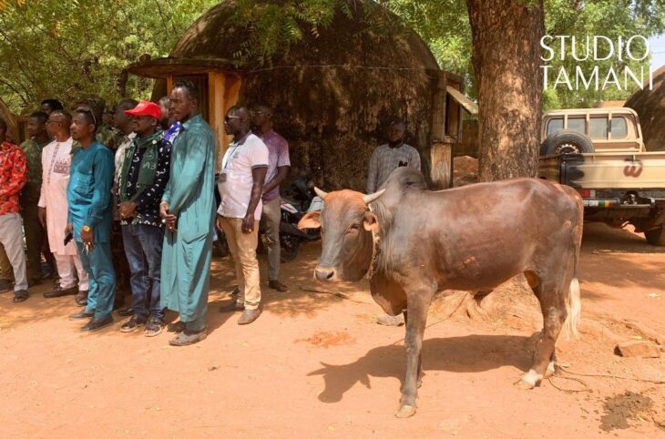 Sikasso : un bœuf offert aux détenus pour la fête
