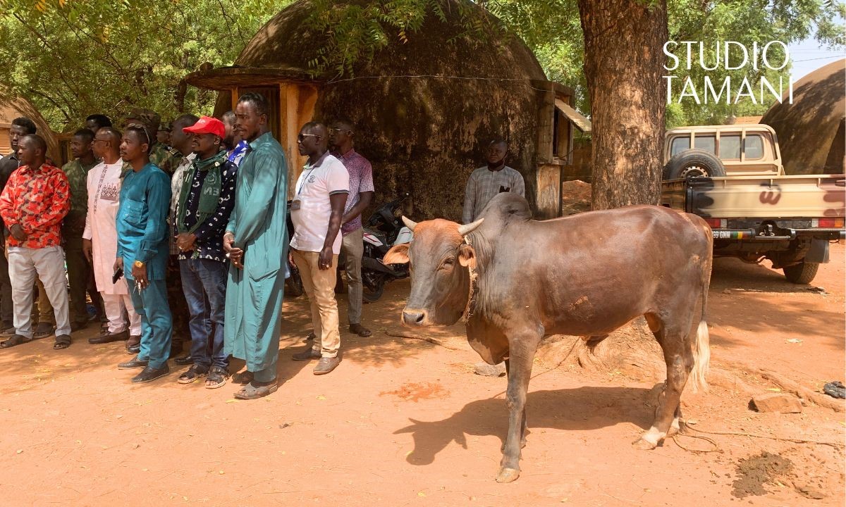 Sikasso : un bœuf offert aux détenus pour la fête