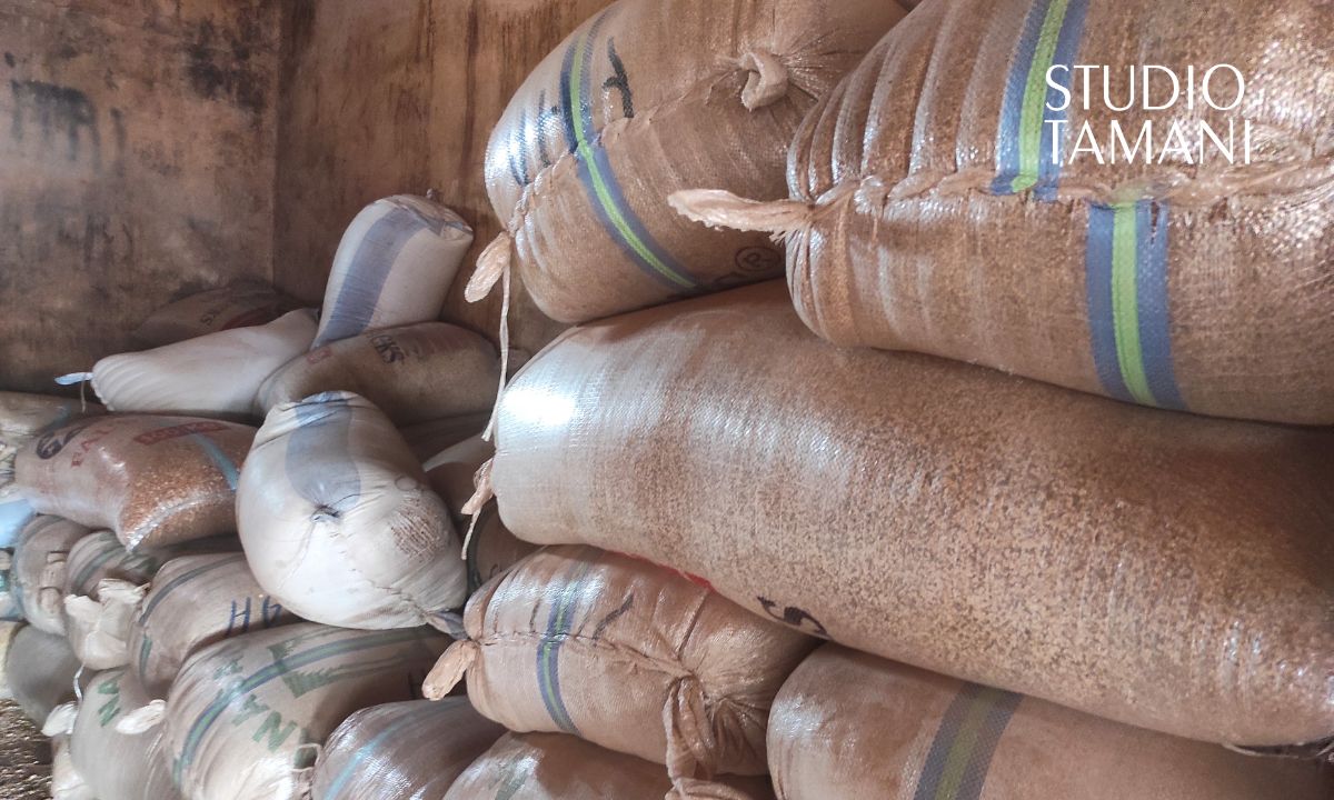 Kita : baisse inédite du prix du mil