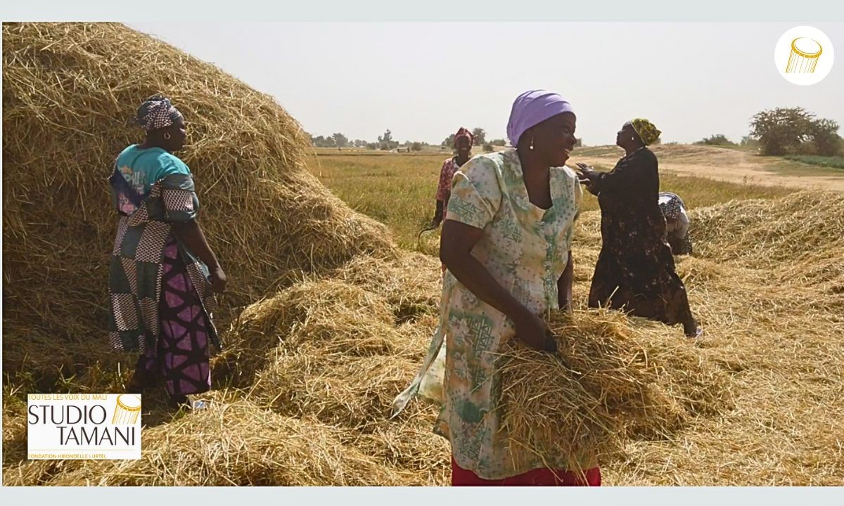 Campagne agricole 2026-2027 : plus de 164 milliards pour booster la production