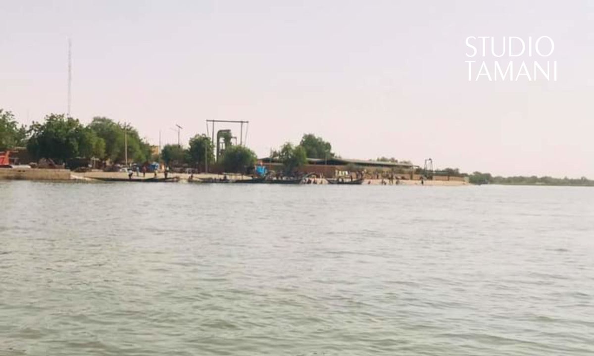 Bourem : une invasion de criquets inquiète les habitants