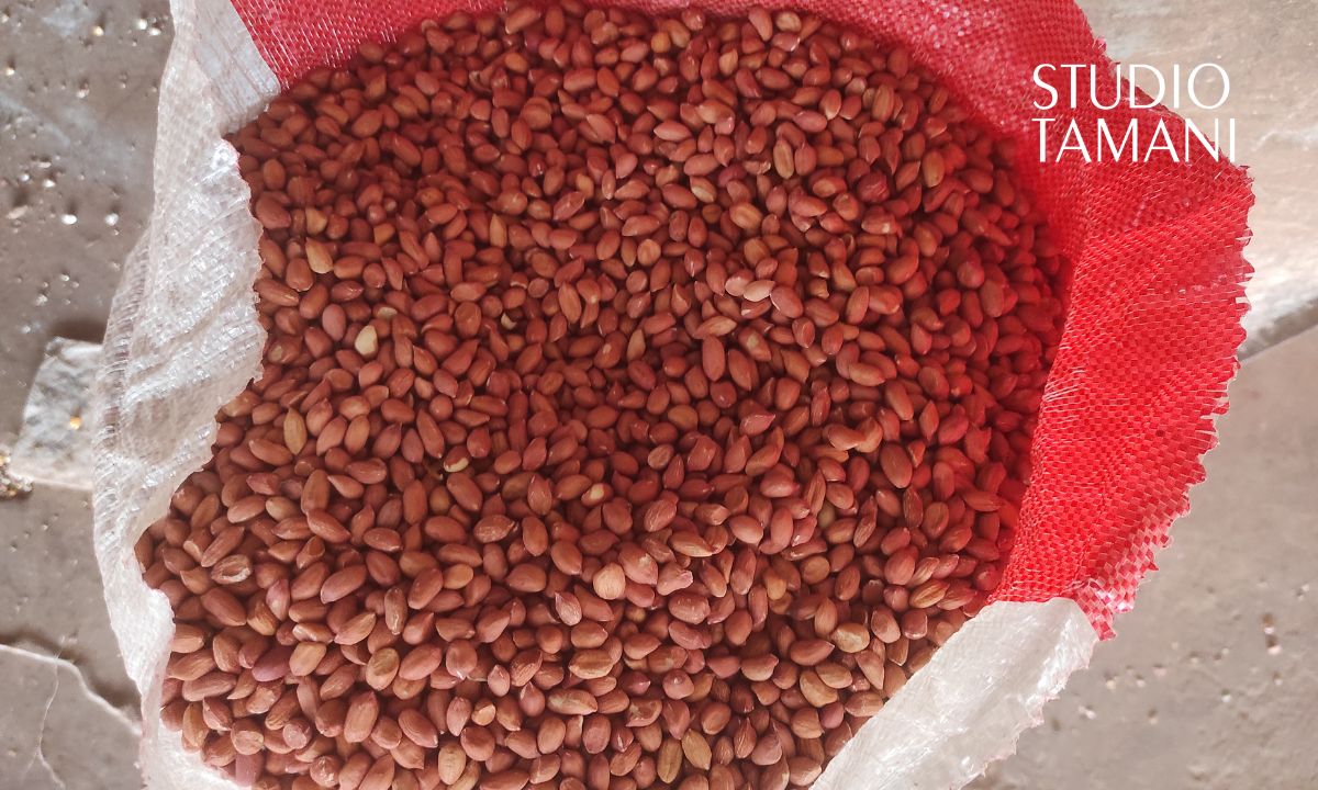 Flambée du prix de l’arachide, produit de base à Kita