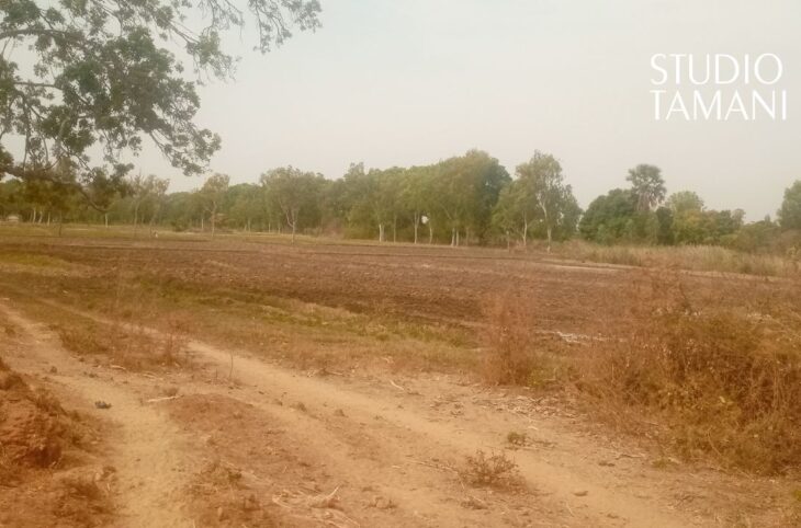 Macina : dernier avertissement aux exploitants agricoles