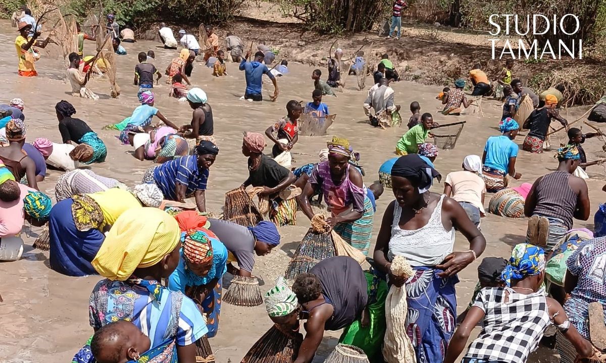 Yorosso : une pêche collective qui mobilise les communautés à Kiffosso