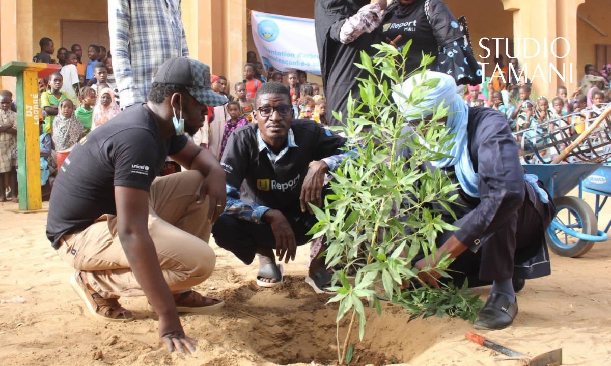 Reboisement au sein de 2 écoles à Gao