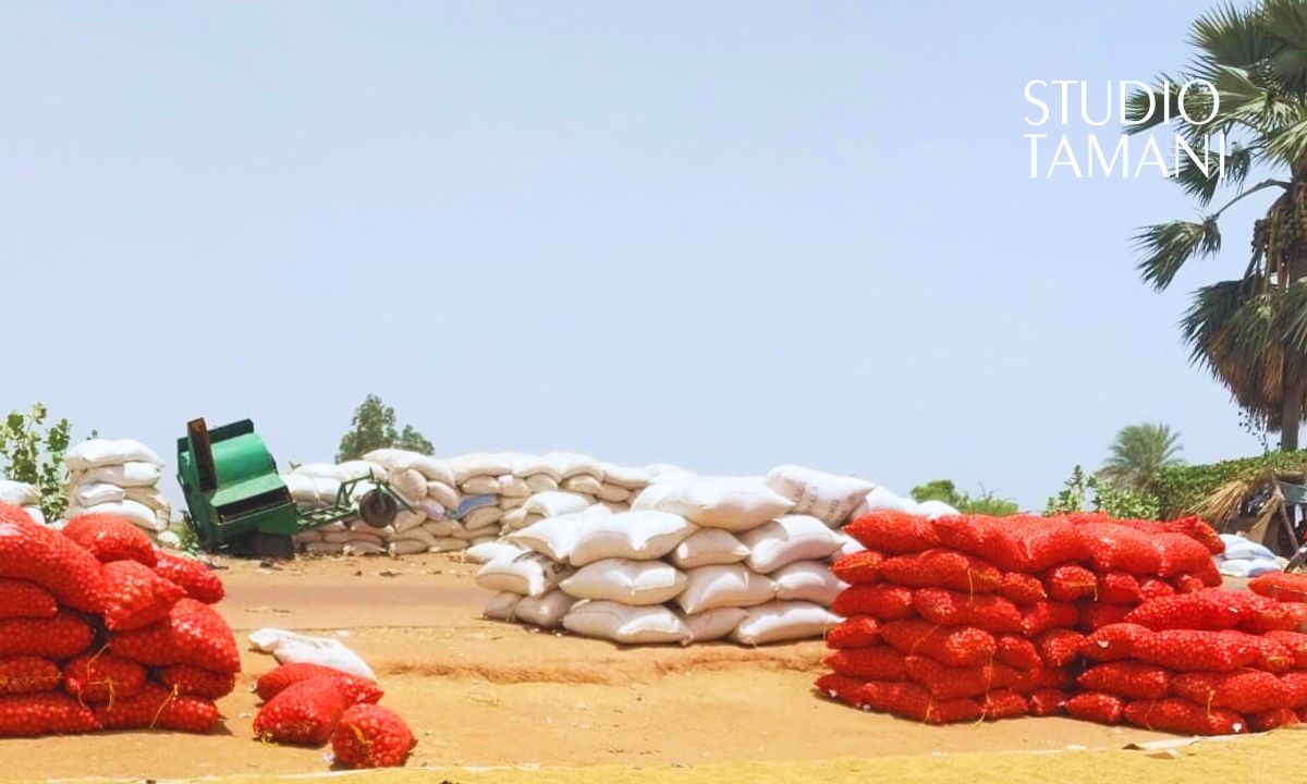 Riz de Niono : l’approvisionnement de Bamako perturbé par l’insécurité
