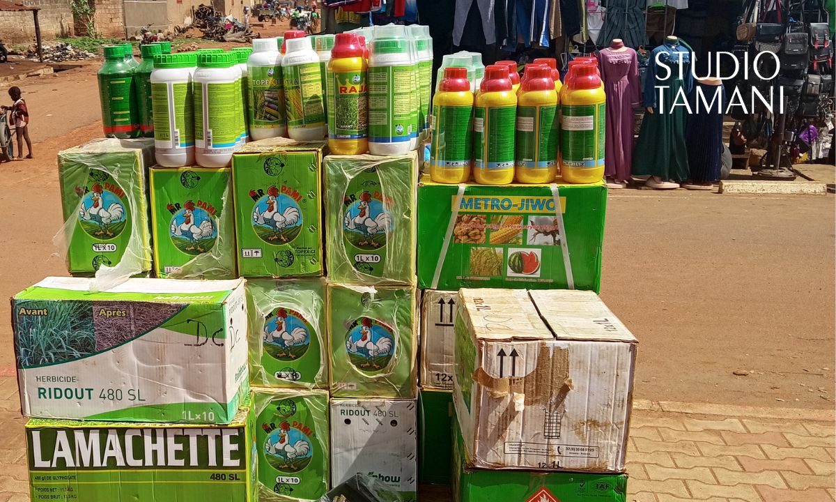 Kadiolo : forte baisse du prix des herbicides, les producteurs soulagés