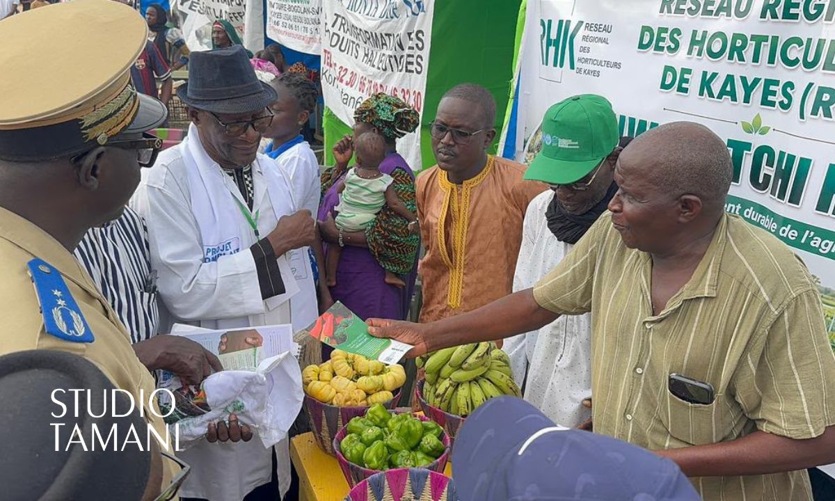 Kayes : coup d&rsquo;envoi du Salon international de l&rsquo;agriculture
