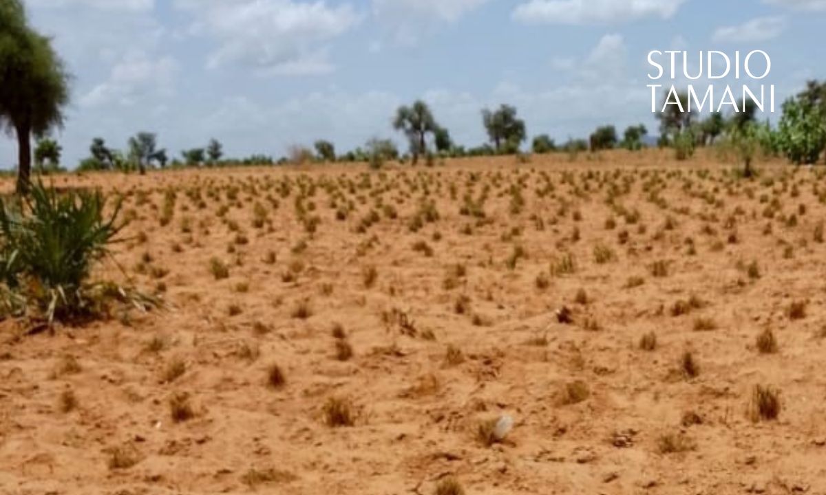 Douentza : des prières pour appeler la pluie