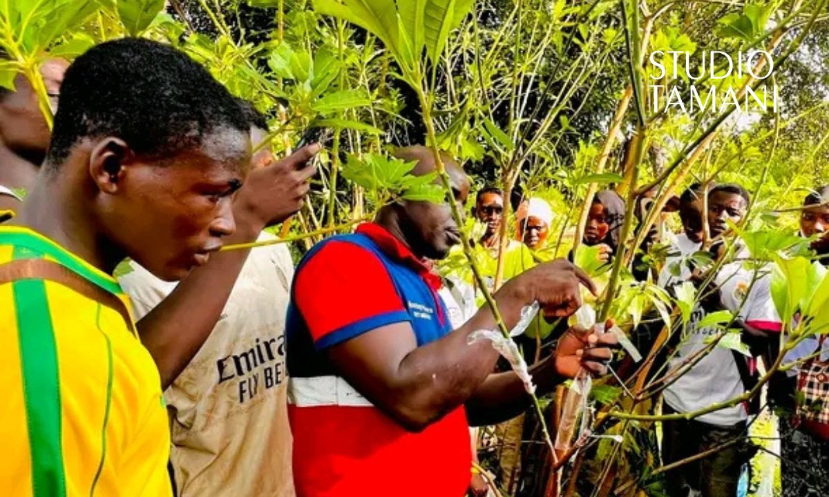 Kadiolo: des jeunes formés au greffage des arbres