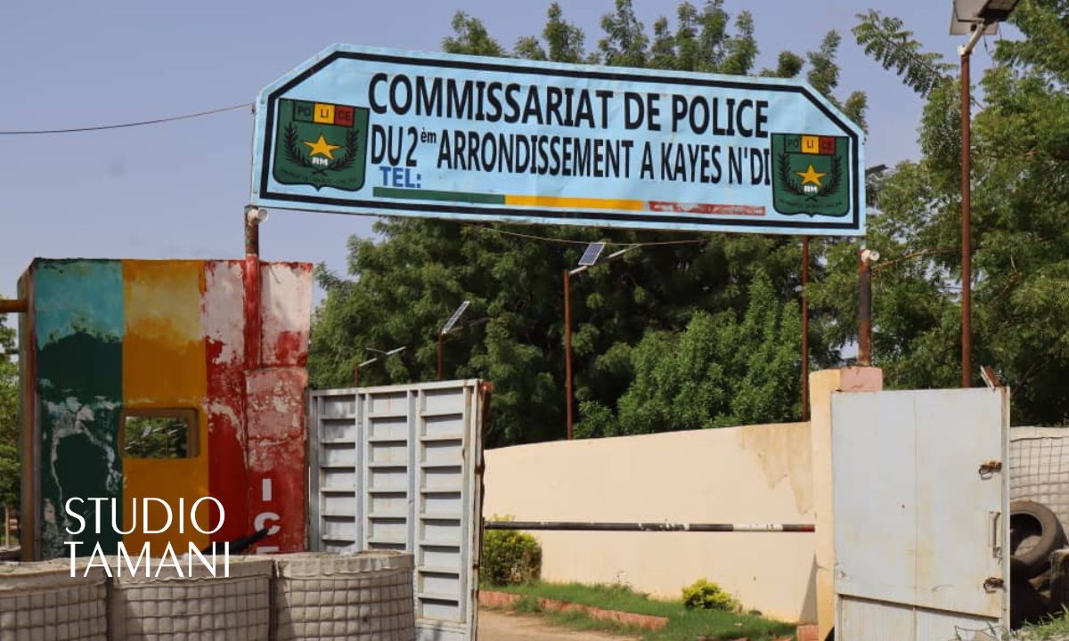 Kayes : trois présumés voleurs de bétail interpellés