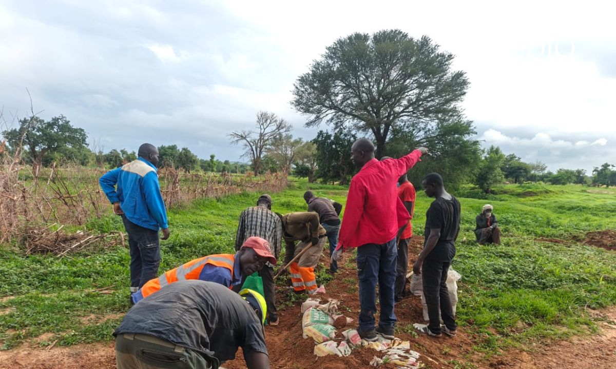 Oussoubidiagna : le retour des pluies redonne espoir aux paysans