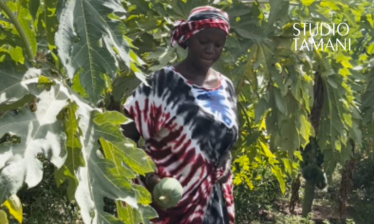 Migration : à Kayes, une jeune femme transforme son retour au pays en réussite agricole