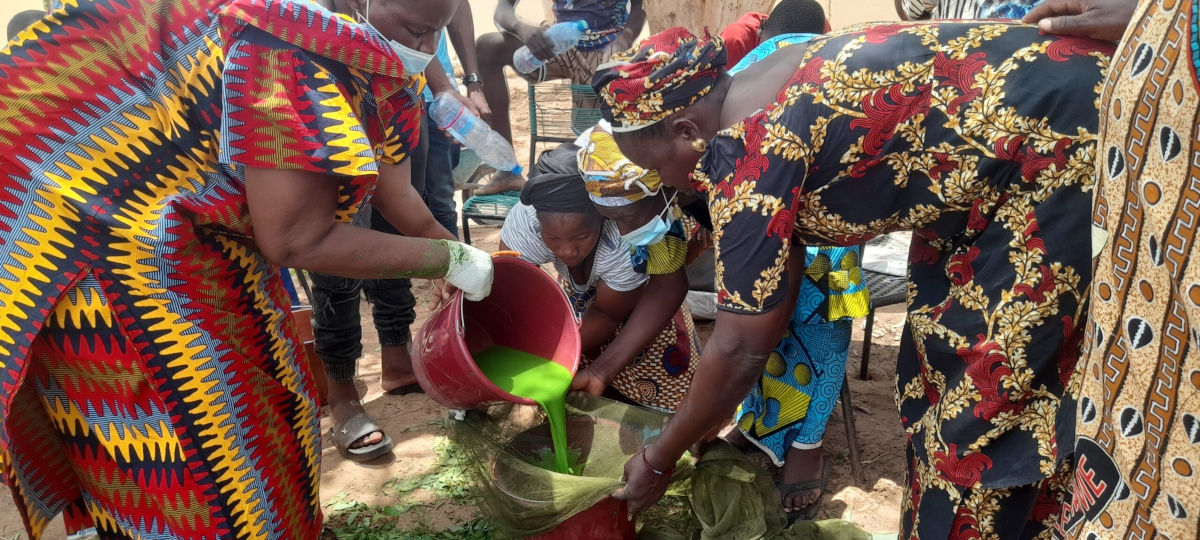 Coopératives au Mali : un moteur du développement local qui résiste