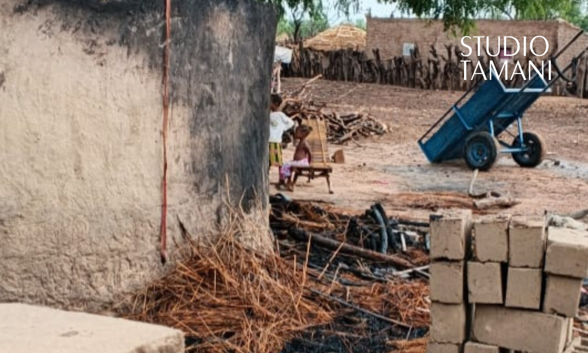 Bafoulabé : la foudre tue 20 animaux à Sidibéla