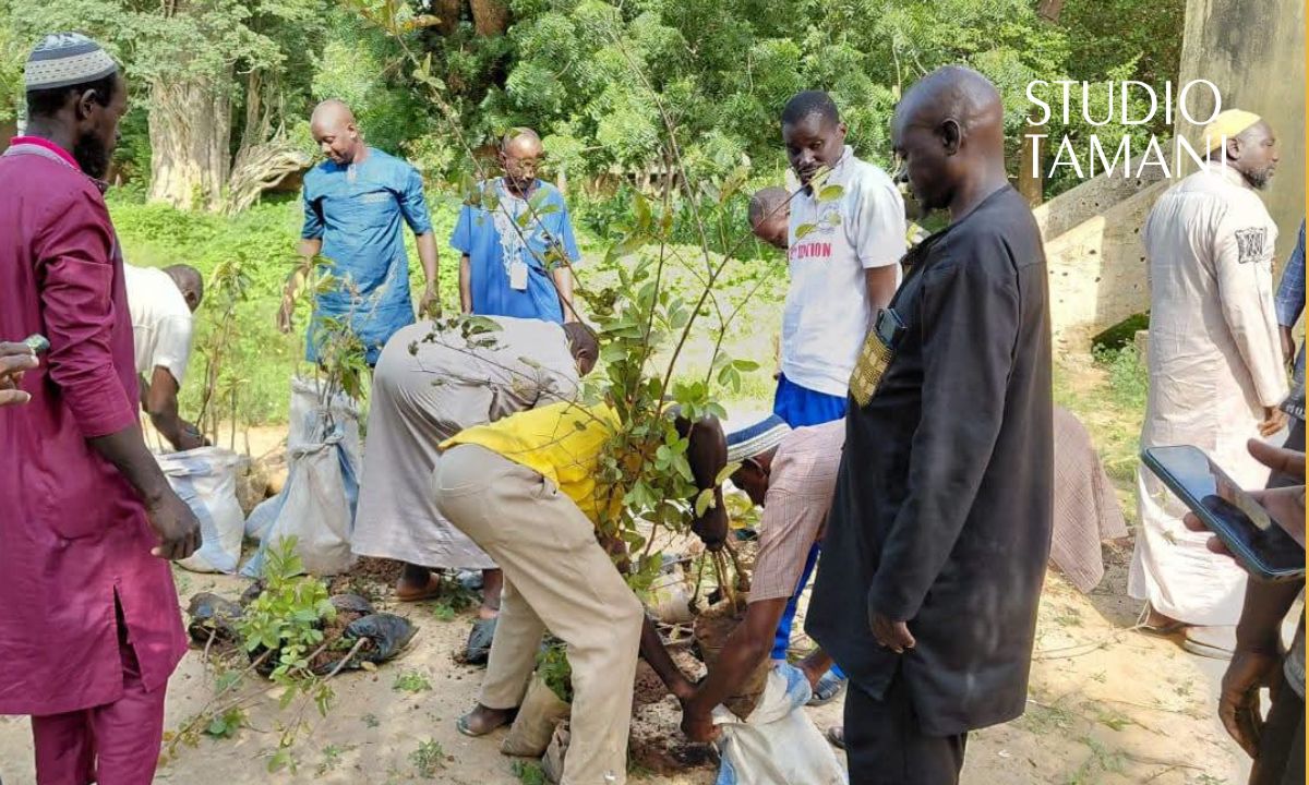 Banamba : plus de 1 000 arbres plantés à Kiban