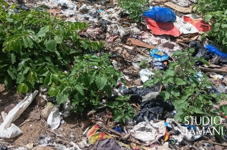 Couches et serviettes usagées, un défi environnemental