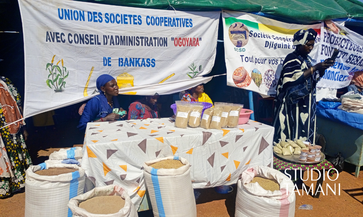 Le prix du mil flambe à Bankass