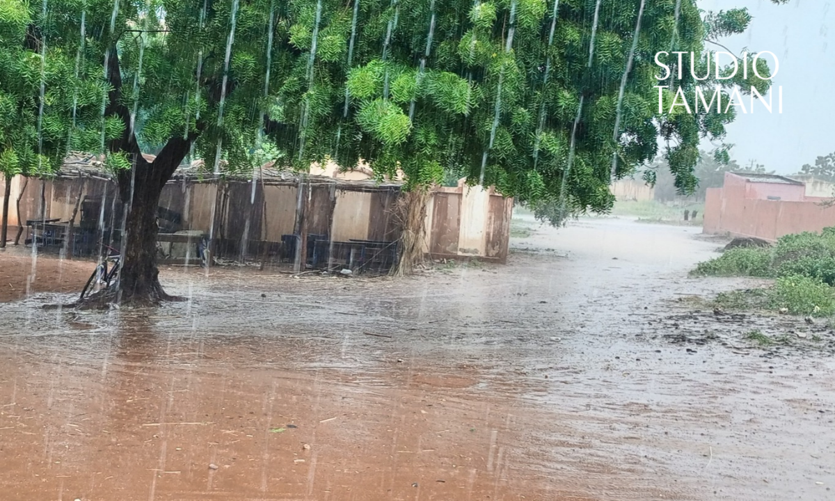 Bankass : une pluie de 55 mm accueillie avec soulagement