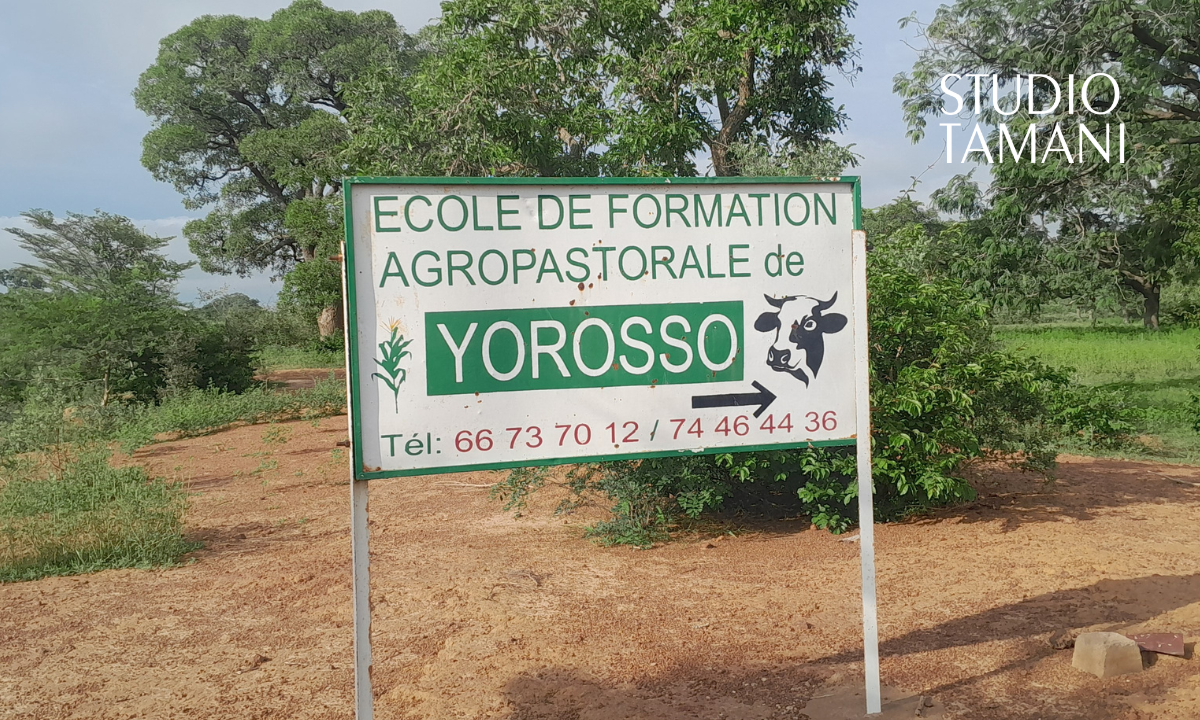 Yorosso : 84 candidats à l’assaut du Brevet de Technicien