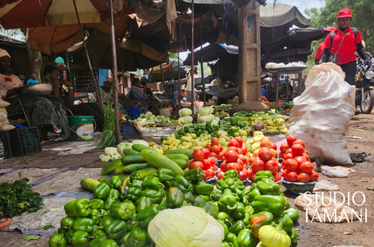 À Bamako et Kati, les prix des légumes et tubercules en hausse