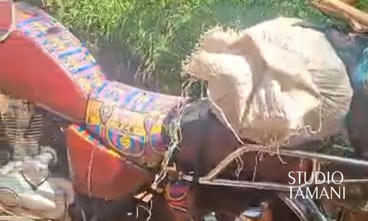 Bafoulabé : un berger emporté par les eaux